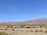 La Quebrada ruta 9 des lamas 