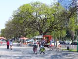Retour à Buenos Aires vers Costanera Sur Rio de la Plata 08