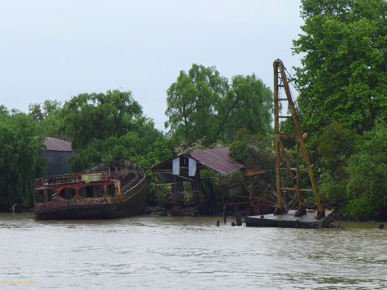 176 Tigre delta