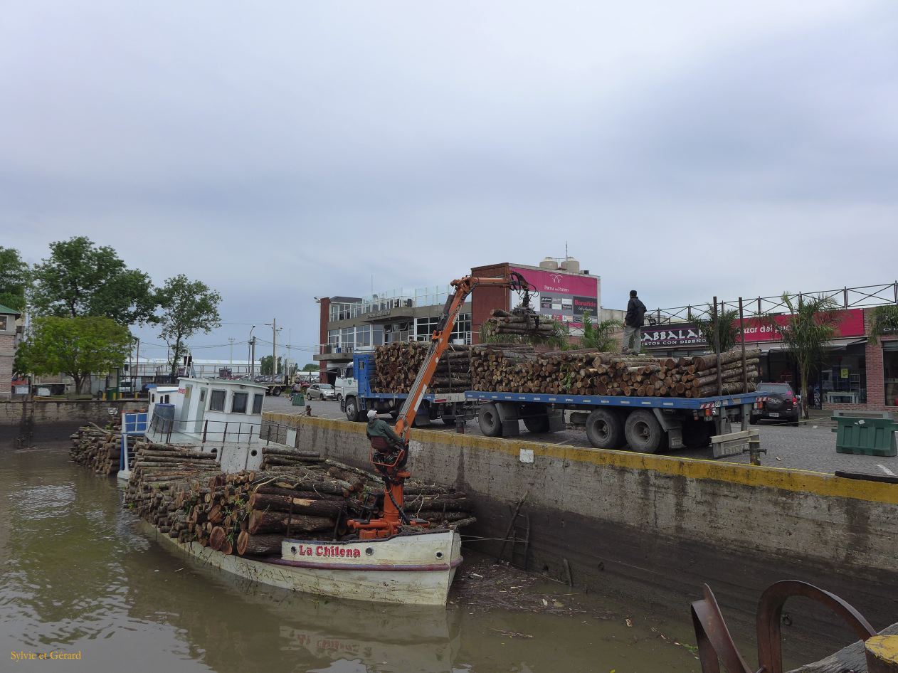 195 Tigre Puerto de Frutos déchargement de grumes