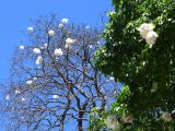 169 Buenos Aires Retiro