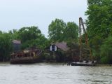 176 Tigre delta