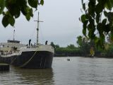 177 Tigre delta