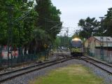 178 Tigre la gare ferrovière