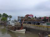 195 Tigre Puerto de Frutos déchargement de grumes