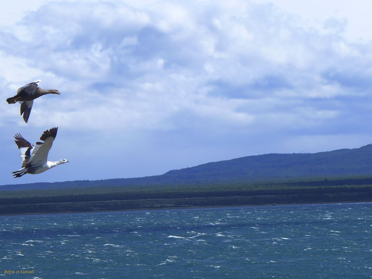 074 Puerto Natales