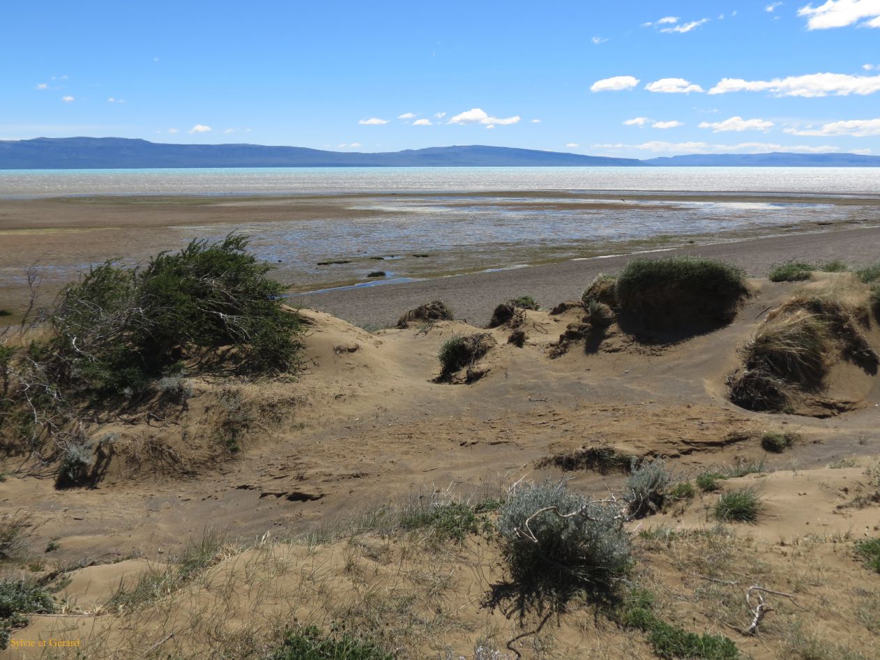 007 El Calafate la Laguna Nimez