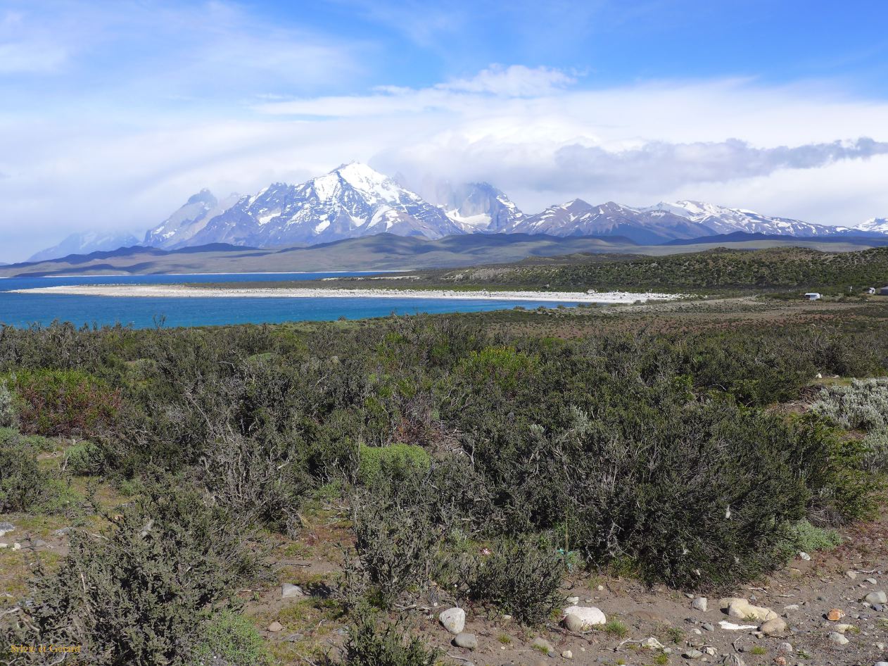 082 Parc Torres del Paine Lago Sarmiento