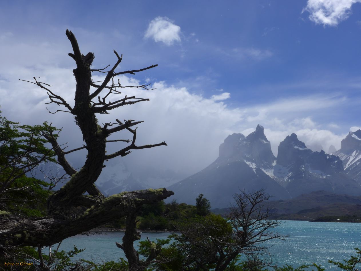 094 Parc Torres del Paine lac Pehoe