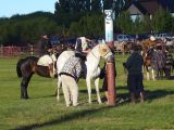 014 El Calafate Rodeo