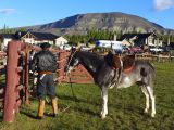 020 El Calafate Rodeo