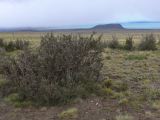 025 El Calafate en chemin vers le Perito Moreno