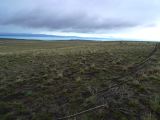 027 El Calafate en chemin vers le Perito Moreno