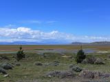 005 El Calafate au bord du Lago Argentino