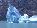 058 El Calafate sur le Lago Argentino