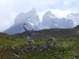 088 Parc Torres del Paine Salto Grande