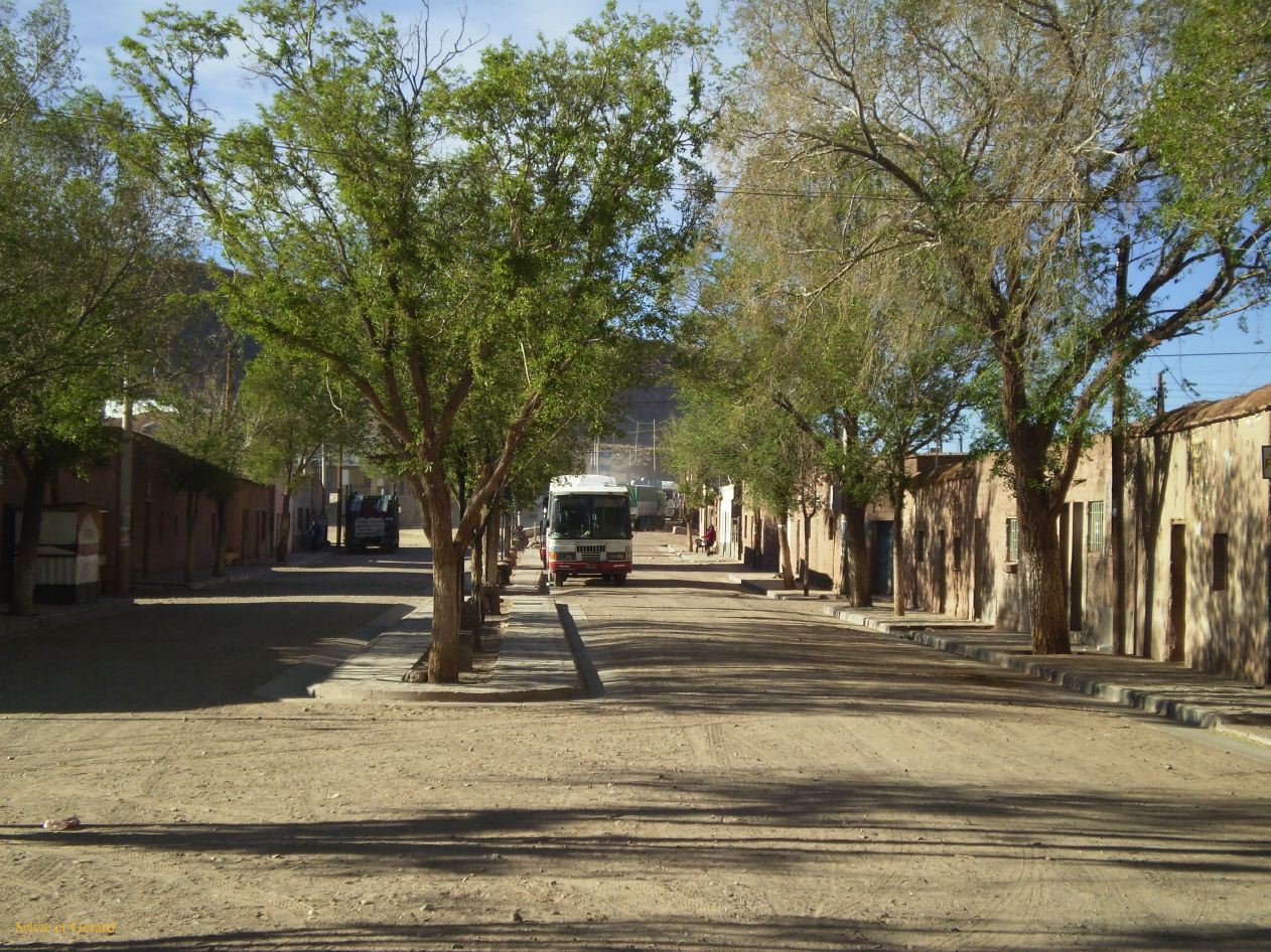 Argentine Nord Puna Susques   043 rue de Susques