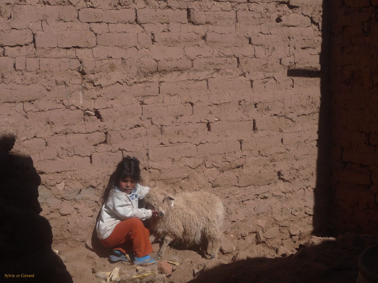 Argentine Nord Puna Susques   083 Wara avec princesse