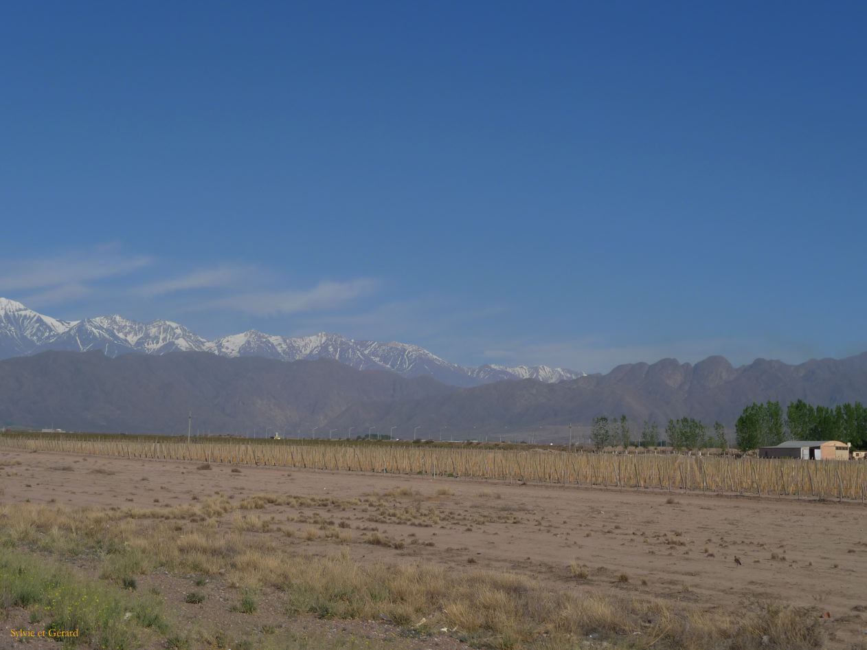 Argentine 2009 Nord Mendoza la route vers le Chili  003