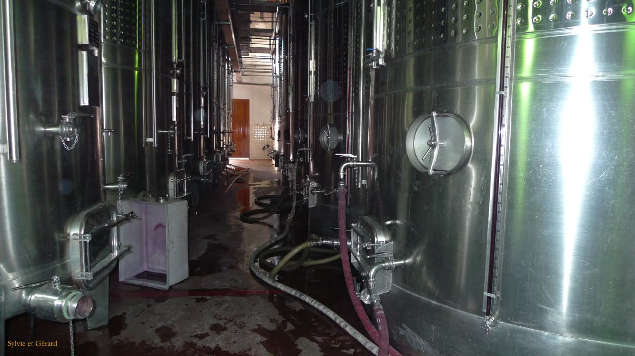 Argentine 2009 Nord Mendoza Bodega Lopez  041