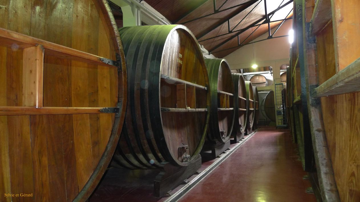 Argentine 2009 Nord Mendoza Bodega Lopez  045