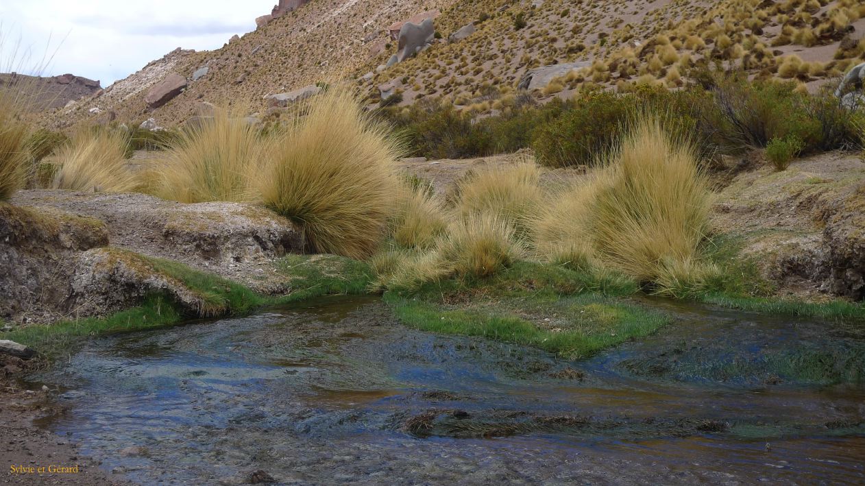 Argentine Nord Puna Susques vers San Antonio de Los Andes  074