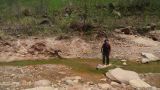 Argentine Nord Puna Yungas  034