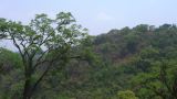 Argentine Nord Puna Yungas  061
