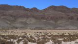 Argentine Nord Puna Susques vers San Antonio de Los Andes  206