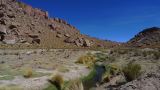 Argentine Nord Puna Susques vers San Antonio de Los Andes  249