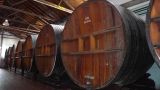 Argentine 2009 Nord Mendoza Bodega Lopez  008