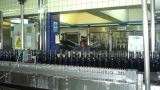 Argentine 2009 Nord Mendoza Bodega Lopez  019