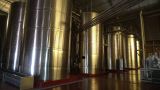 Argentine 2009 Nord Mendoza Bodega Lopez  033