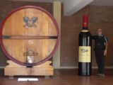 Argentine 2009 Nord Mendoza Bodega Lopez  057 Gérard