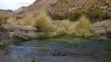 Argentine Nord Puna Susques vers San Antonio de Los Andes  074