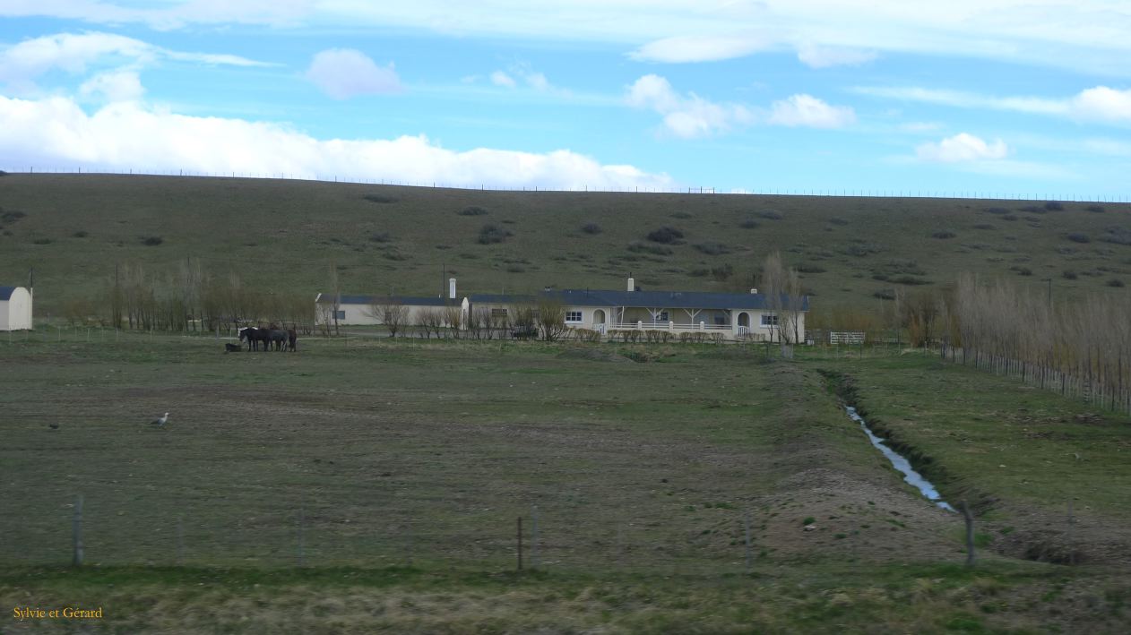 Patagonie El Chaten vers Rio Gallegos  093