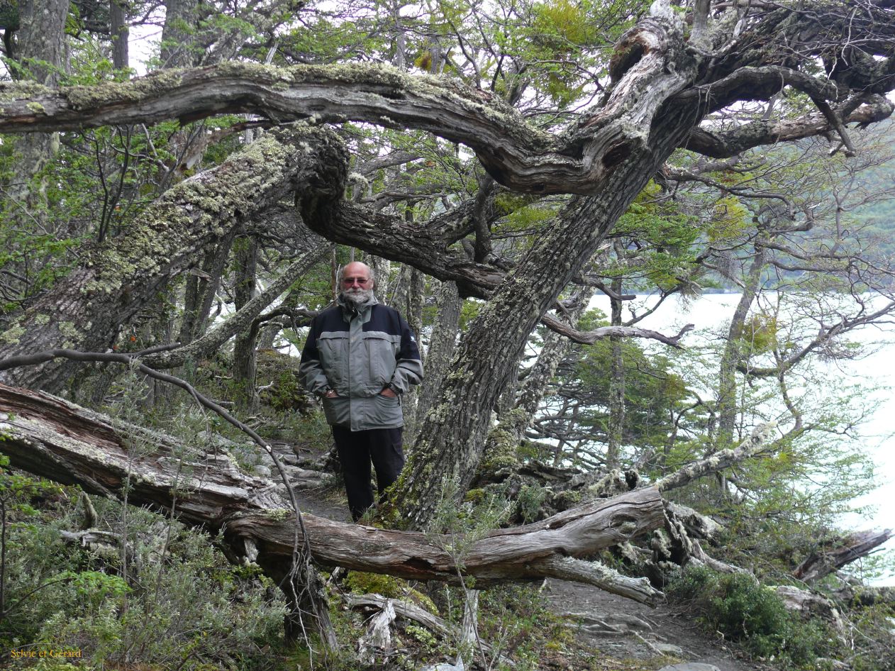 Patagonie Ushuaia Parc de la Terre de Feu  278