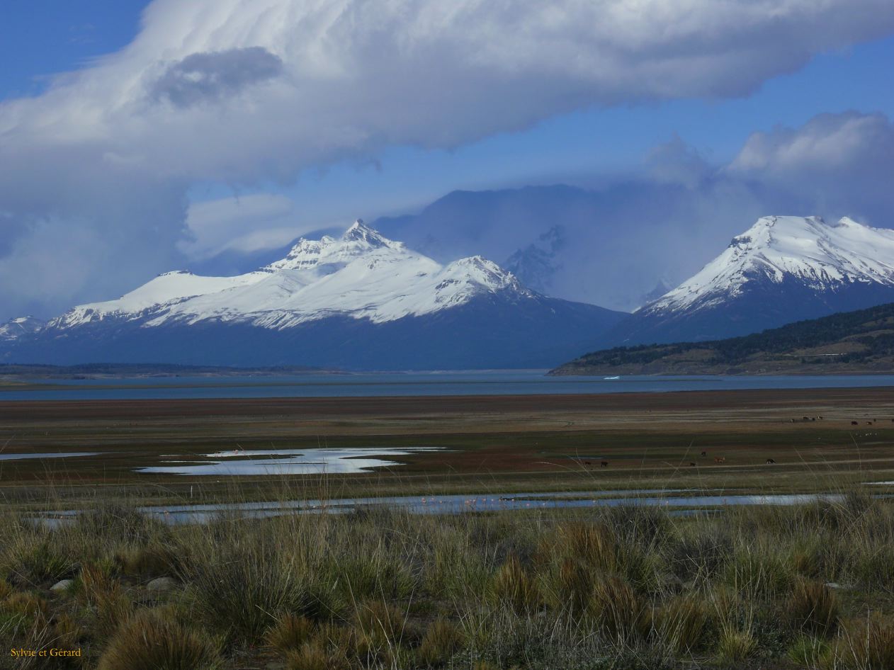 Patagonie El Calafate les environs  059