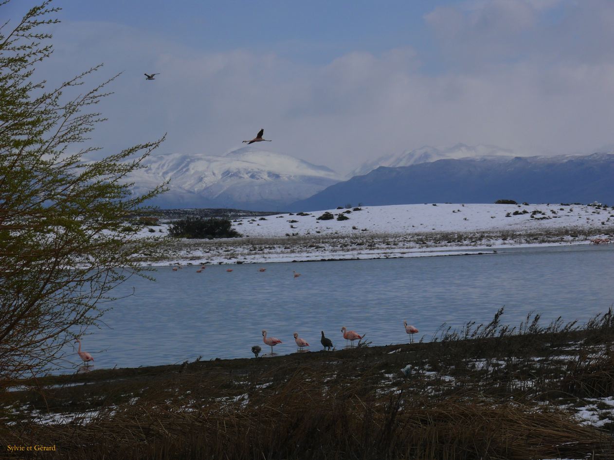 Patagonie El Calafate sous la neige  199