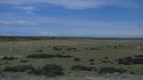 Patagonie El Chaten vers Rio Gallegos  083