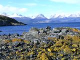 Patagonie Ushuaia Canal de Beagle sur les Tres Marias  078 vue de l'ile H