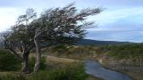 Patagonie Ushuaia vers Estancia Haberton  180
