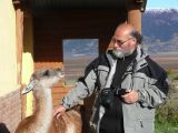 Patagonie El Calafate les environs  049