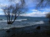 Patagonie Bariloche lago Nahuel Huapi  057