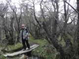 Patagonie El Chaten la cascade  015