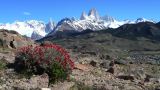 Patagonie El Chaten mirador de los condores  026