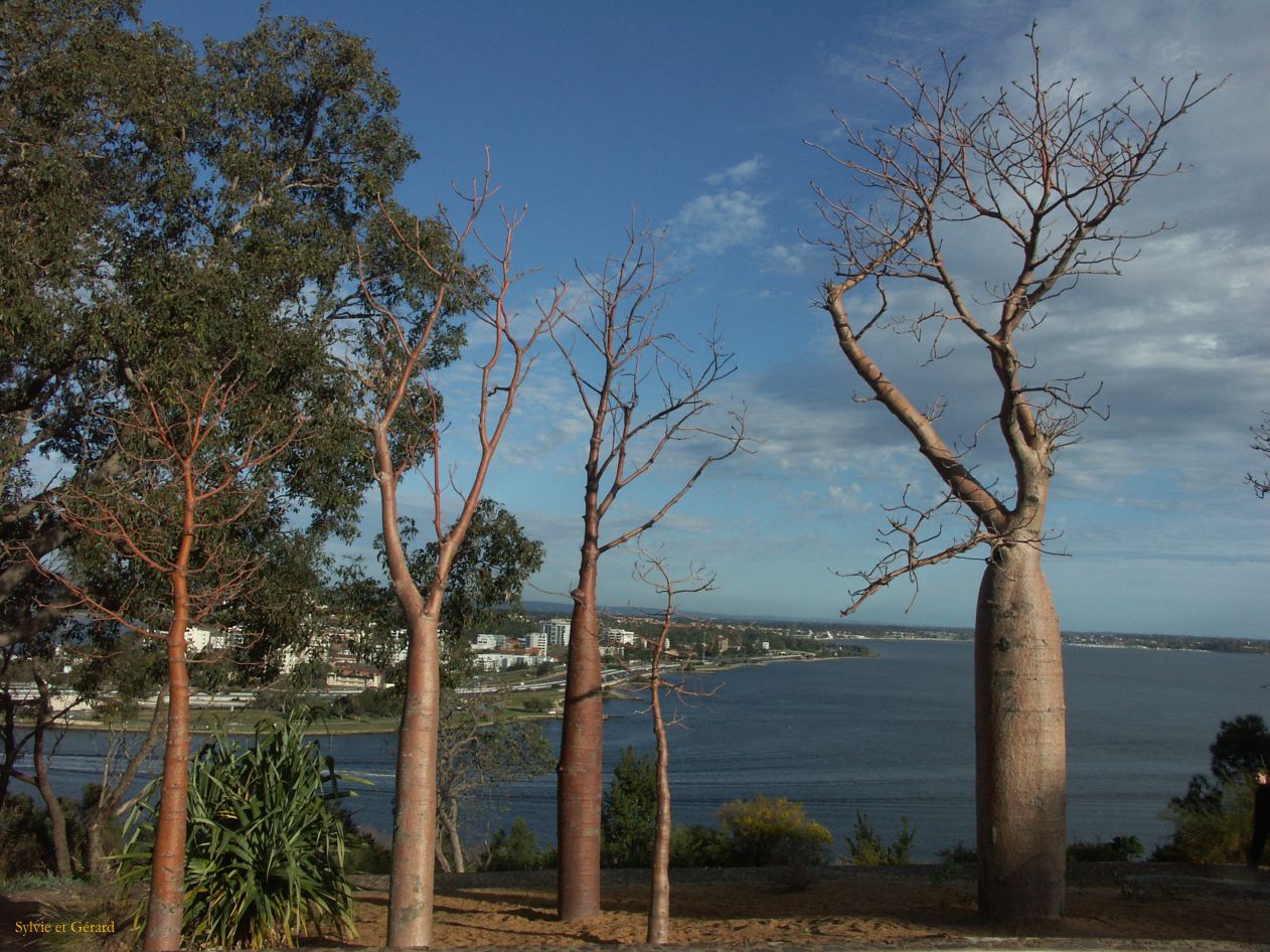 A 009 Perth