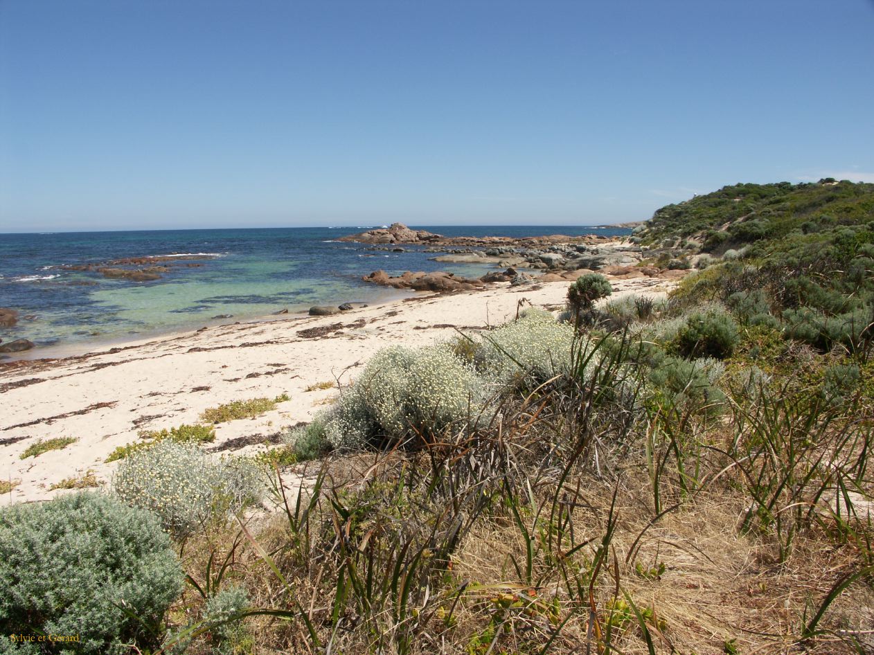 F 031 Augusta