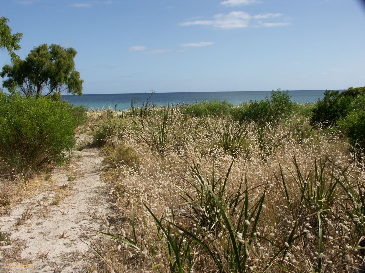 F 059 Busselton