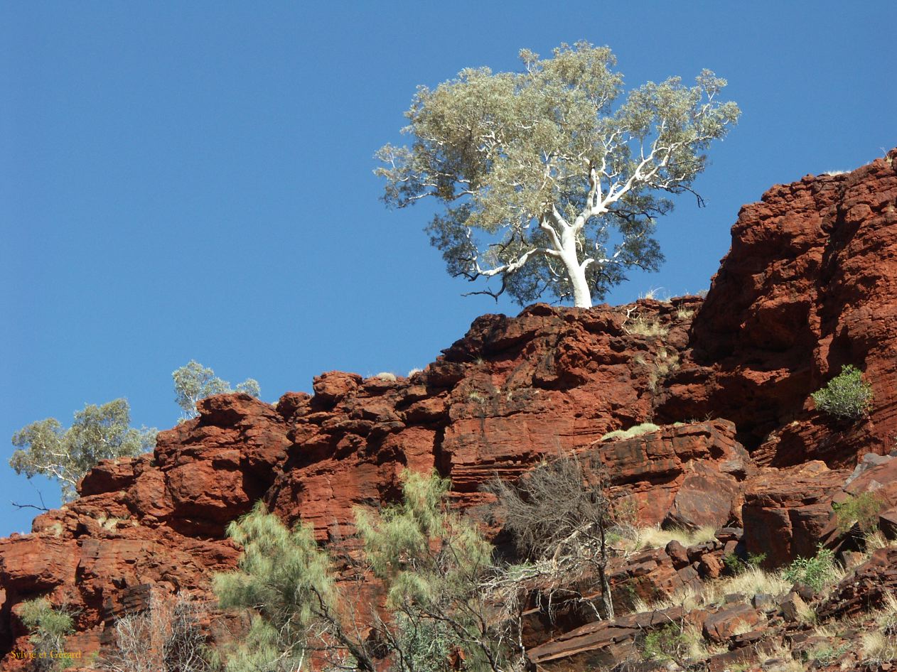 A 133 Karijini